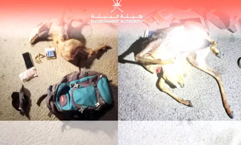 മാൻ വേട്ട; ഒരാൾ അറസ്റ്റിൽ മാൻ വേട്ട; ഒരാൾ അറസ്റ്റിൽ