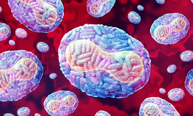 വീണ്ടും അമീബിക് മസ്തിഷ്ക ജ്വരം; വെള്ളത്തിൽ ​ശ്രദ്ധവേണം