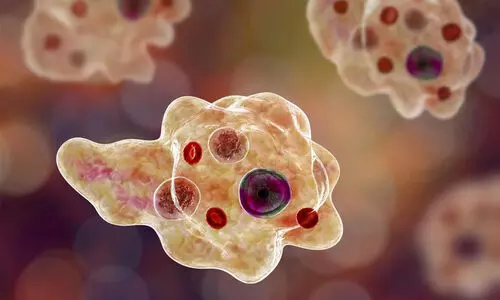 അമീബിക്​ മസ്തിഷ്കജ്വരം; രോഗവ്യാപനത്തിൽ ആശങ്ക, ഉറവിടം അജ്ഞാതം