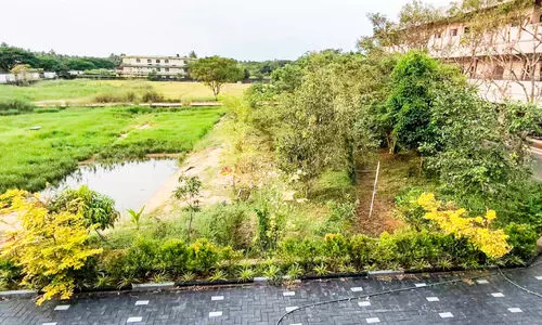 പച്ചത്തുരുത്തിൽ മാതൃകയായി എം.ഇ.എസ് പച്ചത്തുരുത്തിൽ മാതൃകയായി എം.ഇ.എസ്