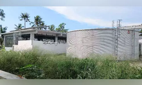 representative image representative image