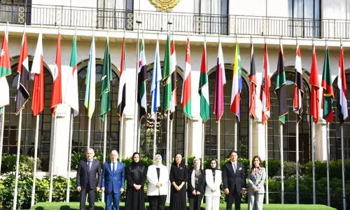 ഫ​ല​സ്തീ​നെ പി​ന്തു​ണ​ക്ക​ൽ; അ​റ​ബ് സാ​മൂ​ഹി​കകാ​ര്യ മ​ന്ത്രി​മാ​ർ യോ​ഗം ചേ​ർ​ന്നു