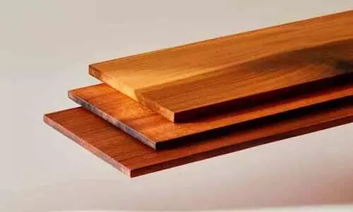 Scientists create  Superwood  thats 10 times stronger than steel