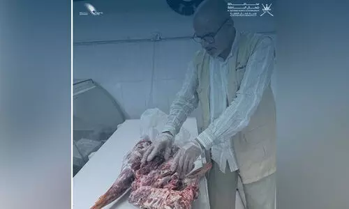 സുഖൈഖിൽ ഭക്ഷ്യയോഗ്യമല്ലാത്ത 45 കിലോ മാംസം പിടികൂടി