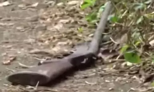 പാലക്കാട് രണ്ട് യുവാക്കൾ വെടിയേറ്റു മരിച്ച നിലയിൽ; നാടൻതോക്ക് കണ്ടെത്തി