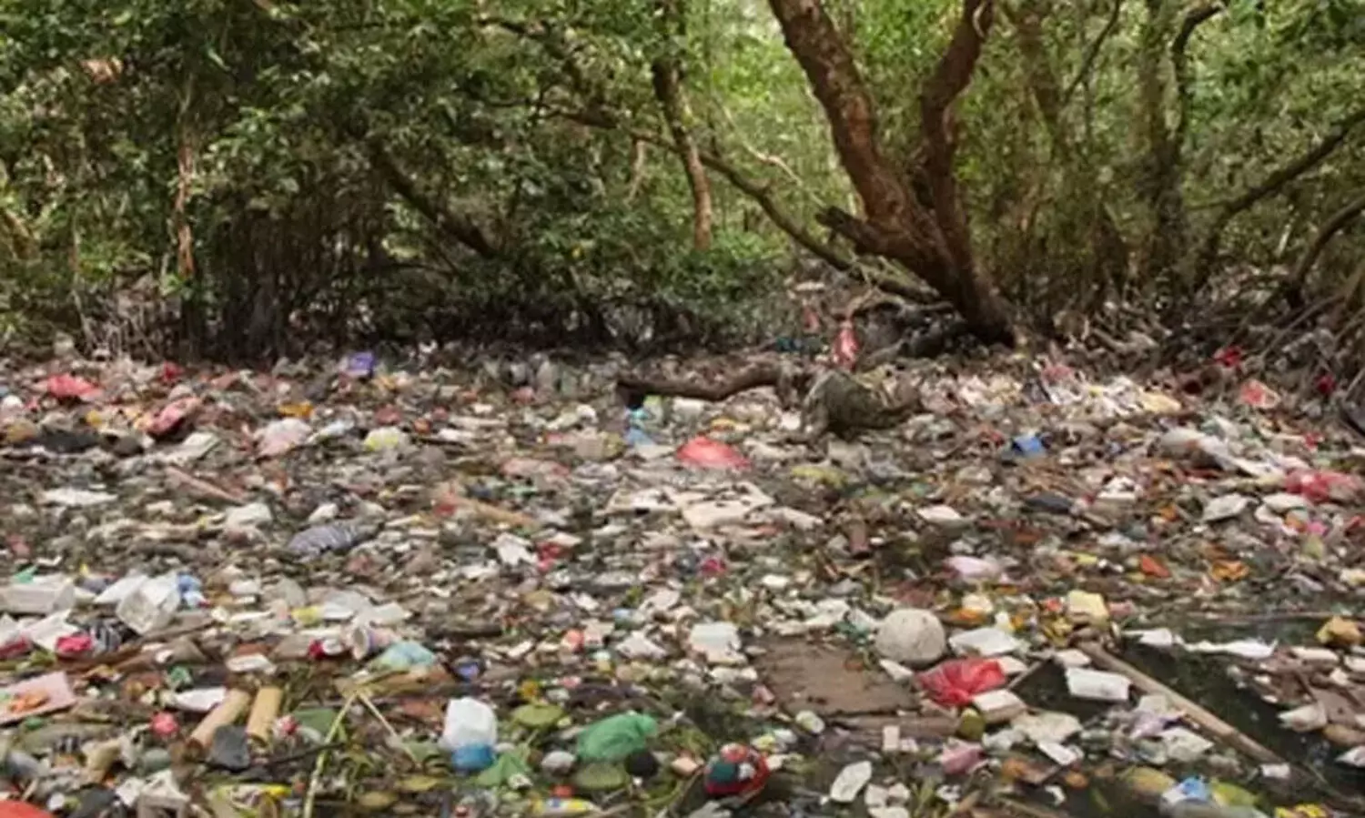 കാടിറങ്ങി 1910 ടൺ മാലിന്യം