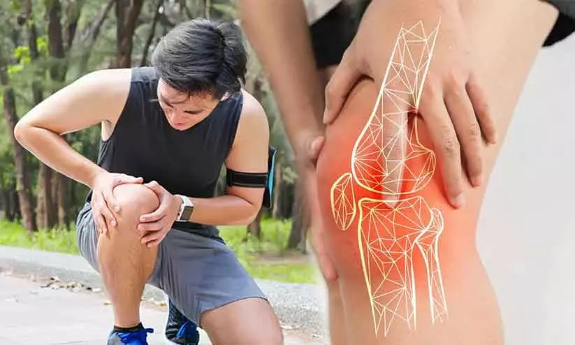 knee pain knee pain