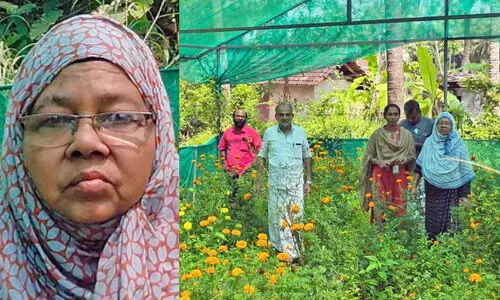 60ാം വ​യ​സ്സി​ൽ സം​യോ​ജി​ത കൃ​ഷി​യി​ൽ വി​സ്മ​യം തീ​ർ​ത്ത് ഹ​ലീ​മ