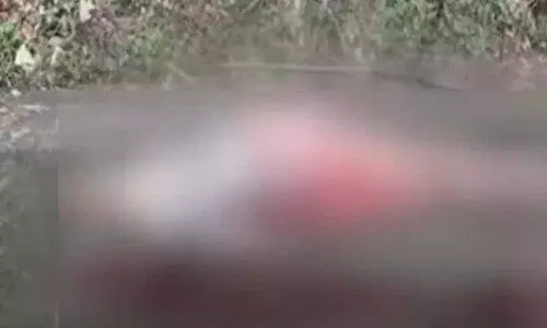 Murder Case Murder Case