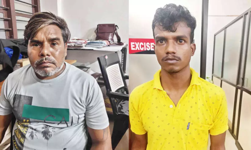 വടകരയിൽ വൻ കഞ്ചാവ് വേട്ട വടകരയിൽ വൻ കഞ്ചാവ് വേട്ട