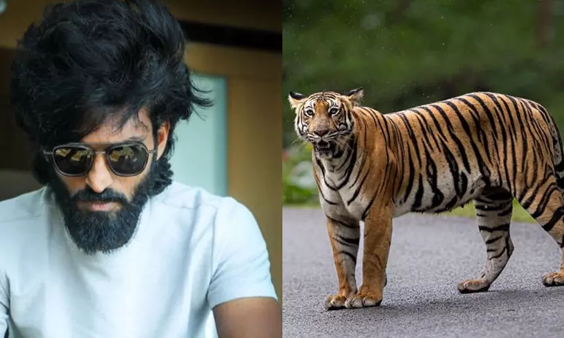 കാൽപന്തും കടുവയും പിന്നെ വിനീതും കാൽപന്തും കടുവയും പിന്നെ വിനീതും