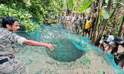 പെരുമ്പൂളയിൽ കിണറ്റിൽ പുലിയെന്ന്; വനപാലകർ പരിശോധന നടത്തി