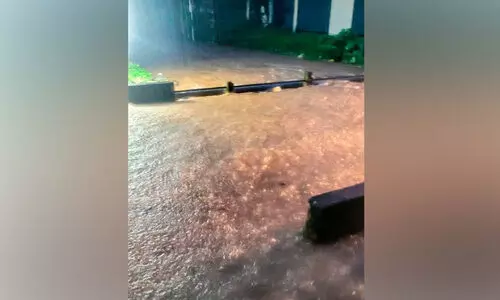 കനത്തമഴ: ചാമംപതാലിൽ വെള്ളംകയറി കനത്തമഴ: ചാമംപതാലിൽ വെള്ളംകയറി