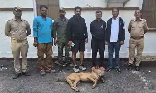 ഒരുമാസത്തിനിടെ കൊല്ലപ്പെട്ടത് 6 പേർ, ആക്രമിച്ചത് 25 പേരെ; ഉത്തർപ്രദേശിൽ നരഭോജി ചെന്നായയെ പിടികൂടി