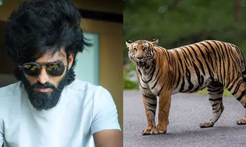 കാൽപന്തും കടുവയും പിന്നെ വിനീതും