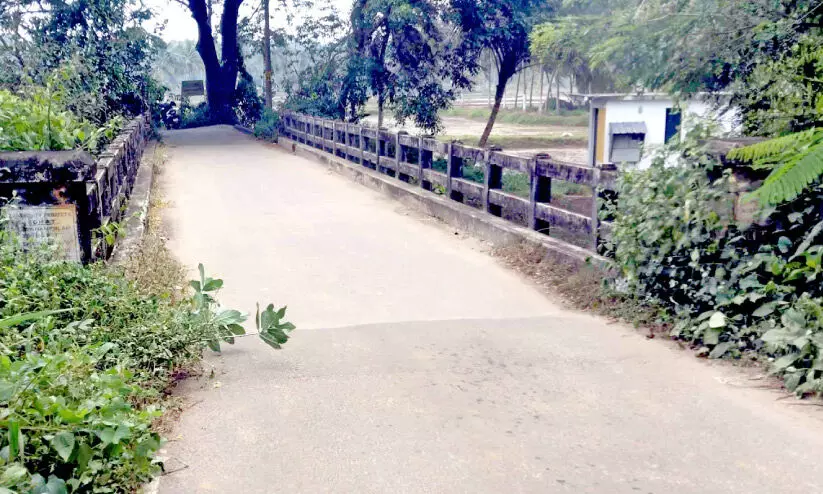 പദ്ധതികൾ പലതുണ്ടായിട്ടും പുളിനെല്ലി പാലത്തിന് അവഗണന മാത്രം