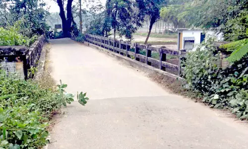 പദ്ധതികൾ പലതുണ്ടായിട്ടും പുളിനെല്ലി പാലത്തിന് അവഗണന മാത്രം