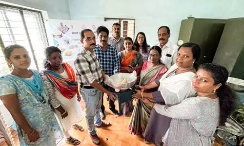 കിഴങ്ങ് വിള ഉൽപന്നങ്ങളിൽ രുചിവൈവിധ്യം ഒരുക്കാൻ കുടുംബശ്രീ