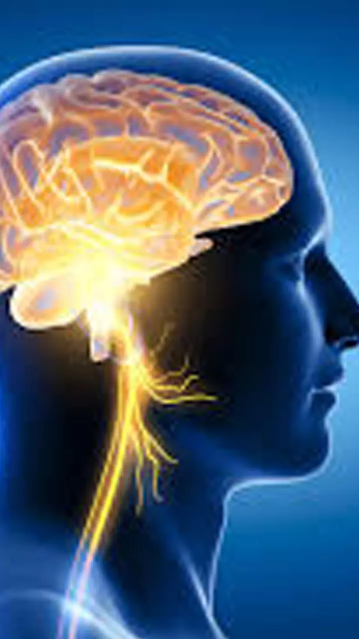 തലച്ചോറിന്‍റെ ആരോഗ്യവും  ഓർമശക്തിയും വർധിപ്പിക്കാം