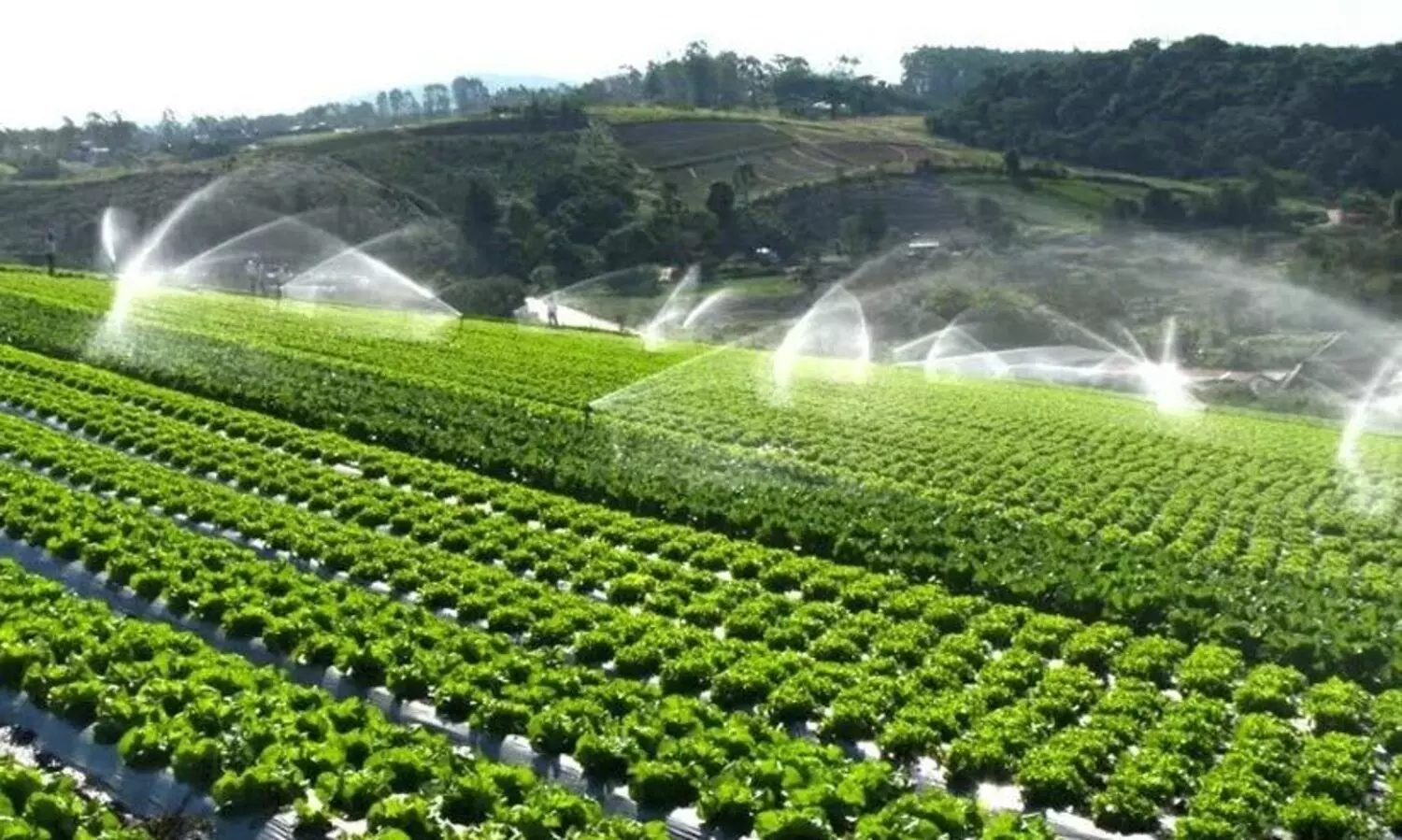 States,Agricultural,Land,Wetland,Scheme, ഡൽഹി,കൃഷി. ജലസേചനപദ്ധതി, കേര്ളം