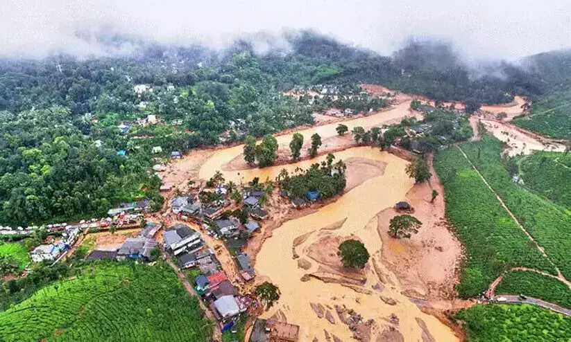 ഉരുൾ ദുരന്തം; ആടിനെയും പശുവിനെയും പോറ്റി ഇനിയവർക്ക് അതിജീവനം ഉരുൾ ദുരന്തം; ആടിനെയും പശുവിനെയും പോറ്റി ഇനിയവർക്ക് അതിജീവനം