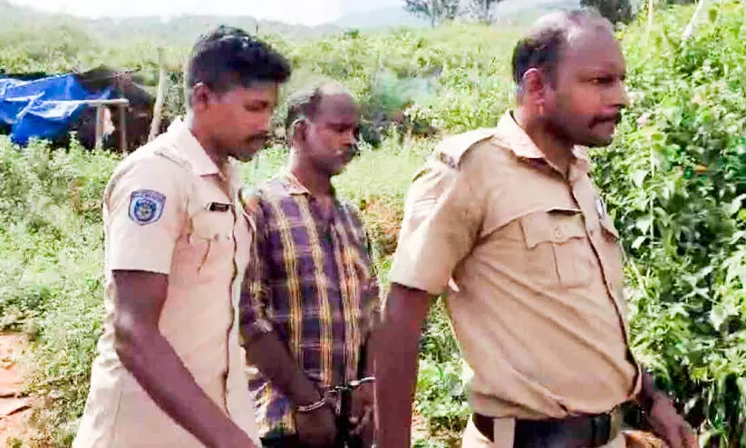 ആദിവാസി യുവതിയുടെ മൃതദേഹം ഉൾവനത്തിൽ; ഭർത്താവ് കസ്റ്റഡിയിൽ