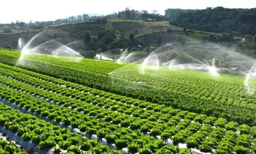 States,Agricultural,Land,Wetland,Scheme, ഡൽഹി,കൃഷി. ജലസേചനപദ്ധതി, കേര്ളം States,Agricultural,Land,Wetland,Scheme, ഡൽഹി,കൃഷി. ജലസേചനപദ്ധതി, കേര്ളം