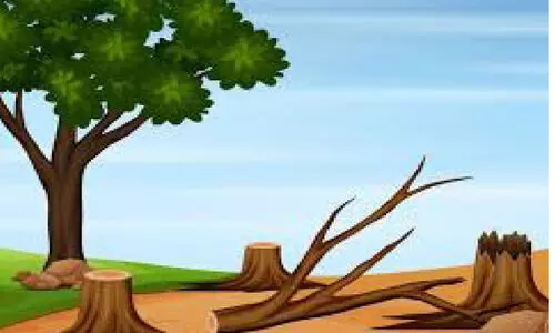 പ​രി​സ്ഥി​തി​വാ​ദി