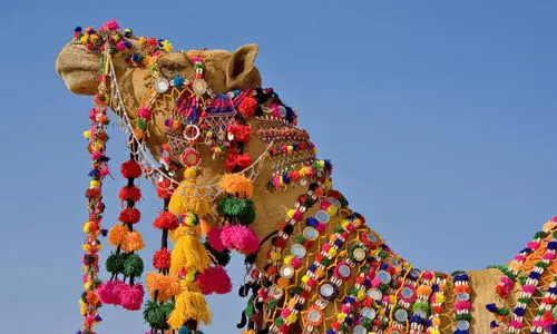 അറേബ്യൻ കഥകളിലെ ഒട്ടകങ്ങളുടെ ഗ്രാമം; അവിടുത്തെ കുറേ വിശേഷങ്ങളും