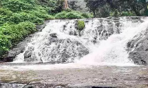 മഴ കനത്തു;മനോഹരിയായി രാജഗിരി വെള്ളച്ചാട്ടം