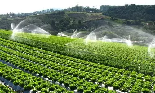 States,Agricultural,Land,Wetland,Scheme, ഡൽഹി,കൃഷി. ജലസേചനപദ്ധതി, കേര്ളം