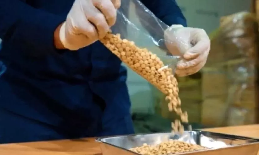 methamphetamine pills seized methamphetamine pills seized