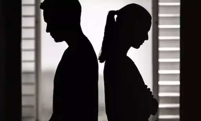 സാമ്പത്തിക ഭദ്രതയുള്ള ജീവിതപങ്കാളിക്ക് ജീവനാംശം നൽകാൻ കഴിയില്ല -ഡൽഹി ഹൈകോടതി