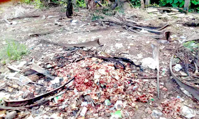 വൃത്തിയില്ല; കടകൾക്കും ക്യാമ്പുകൾക്കും 10,000 രൂപ പിഴ വൃത്തിയില്ല; കടകൾക്കും ക്യാമ്പുകൾക്കും 10,000 രൂപ പിഴ