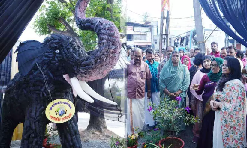 10,000 പ്ലാ​സ്റ്റി​ക് കു​പ്പി​ക​ൾ; മാ​ലി​ന്യ​ത്തി​നെ​തി​രെ കൊ​മ്പ് കു​ലു​ക്കി കു​ട്ടി​യാ​ന ശി​ൽ​പം