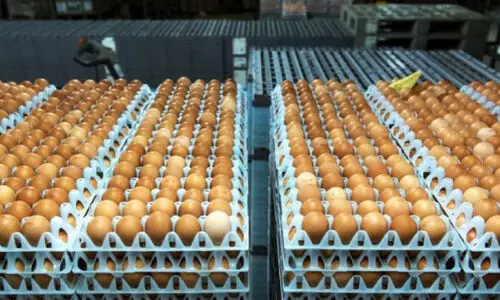 കാ​ലാ​വ​ധി ക​ഴി​ഞ്ഞ മു​ട്ട ഇ​ട​പാ​ട് സ്ഥാ​പ​ന​ങ്ങ​ളും വാ​ഹ​ന​ങ്ങ​ളും പി​ടി​ച്ചെ​ടു​ത്തു