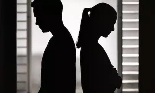 സാമ്പത്തിക ഭദ്രതയുള്ള ജീവിതപങ്കാളിക്ക് ജീവനാംശം നൽകാൻ കഴിയില്ല -ഡൽഹി ഹൈകോടതി