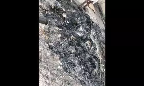 ബി.ജെ.പി മുൻ എം.എൽ.എയുടെ വീട്ടുപരിസരത്ത് വോട്ടർ രേഖകൾ കത്തിച്ച നിലയിൽ ബി.ജെ.പി മുൻ എം.എൽ.എയുടെ വീട്ടുപരിസരത്ത് വോട്ടർ രേഖകൾ കത്തിച്ച നിലയിൽ