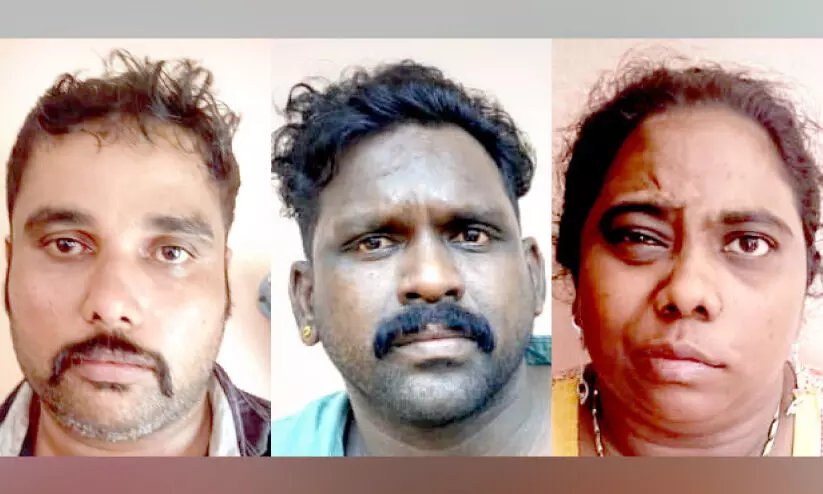 മീനടത്ത് എം.ഡി.എം.എ വേട്ട; ദമ്പതികളും സുഹൃത്തും അറസ്റ്റിൽ