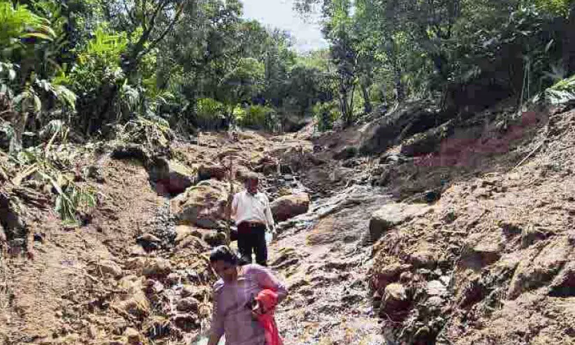 ഉരുൾപൊട്ടലിൽ വ്യാപക നാശം; നാ​ലേ​ക്ക​ർ ഏ​ലം കൃ​ഷി ഒ​ലി​ച്ചു​പോ​യി