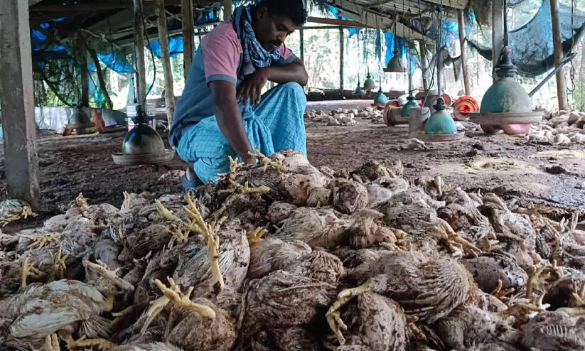 വ​ഴി​ക്ക​ട​വി​ൽ ഉ​ണ്ടാ​യ​ത് മേ​ഘ​വിസ്ഫോ​ട​നം; ല​ക്ഷ​ങ്ങ​ളു​ടെ ന​ഷ്ടം