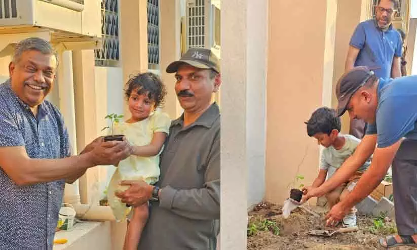 ഗ്രോ യുവർ ഗ്രീൻ ഫുഡ് കമ്യൂണൽ ഫാർമിങ് സീസൺ -3 തുടക്കം ഗ്രോ യുവർ ഗ്രീൻ ഫുഡ് കമ്യൂണൽ ഫാർമിങ് സീസൺ -3 തുടക്കം