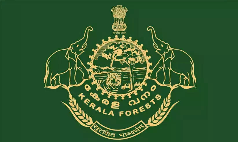 ഫീൽഡ് ജീവനക്കാർക്ക് ഓഫിസിൽ അദർ ഡ്യൂട്ടി; വനംവകുപ്പിൽ ‘സേഫ്’ ആയി സ്വാധീനക്കാർ ഫീൽഡ് ജീവനക്കാർക്ക് ഓഫിസിൽ അദർ ഡ്യൂട്ടി; വനംവകുപ്പിൽ ‘സേഫ്’ ആയി സ്വാധീനക്കാർ