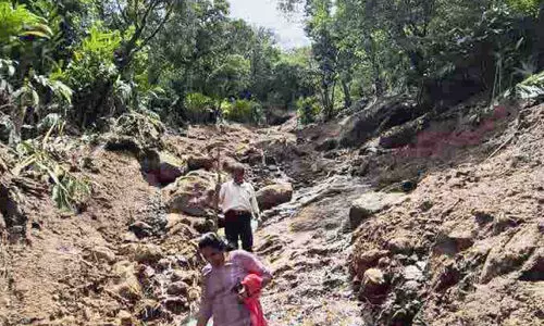 ഉരുൾപൊട്ടലിൽ വ്യാപക നാശം; നാ​ലേ​ക്ക​ർ ഏ​ലം കൃ​ഷി ഒ​ലി​ച്ചു​പോ​യി