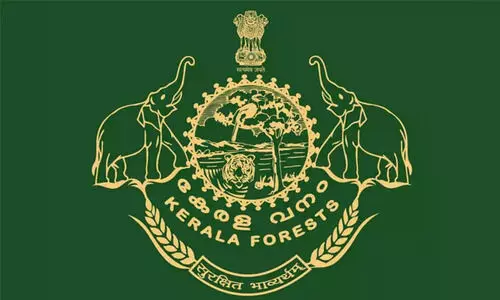 ഫീൽഡ്​ ജീവനക്കാർക്ക്​ ഓഫിസിൽ അദർ ഡ്യൂട്ടി; വനംവകുപ്പിൽ ‘സേഫ്​’ ആയി സ്വാധീനക്കാർ