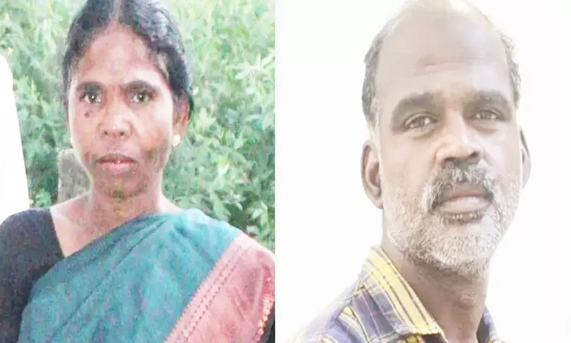 വിറകുകൊള്ളി കൊണ്ട് തലക്കടിച്ച് കൊന്നു, കുഴികുത്തി മൂടി, രണ്ടുദിവസം കഴിഞ്ഞ് മറ്റൊരു കുഴിയിലേക്ക് മാറ്റി; ആദിവാസി സ്ത്രീയുടെ മരണം തലയോട്ടി തകർന്നെന്ന് പോസ്റ്റ്മോർട്ടം റിപ്പോർട്ട്