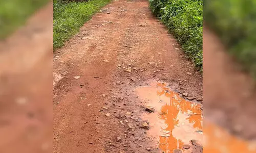 Locals,Protest,collapse,Kavattparamba-Kollayilthazham,Road, മടവൂർ, റോഡ് തകർന്നു