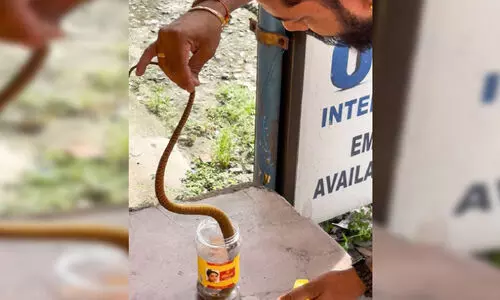 നാട്ടുകാരെ വട്ടംകറക്കിയ പാമ്പ് ‘പിടിയിൽ’