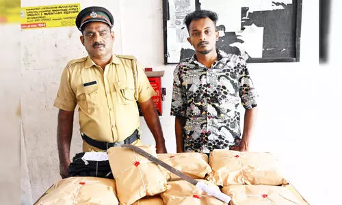 വൻ കഞ്ചാവ് വേട്ട: ഒരാൾ പിടിയിൽ