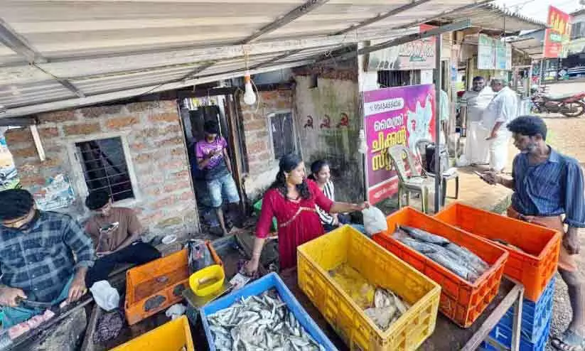 കളിസ്ഥലമൊരുക്കാൻ മത്സ്യവിൽപന